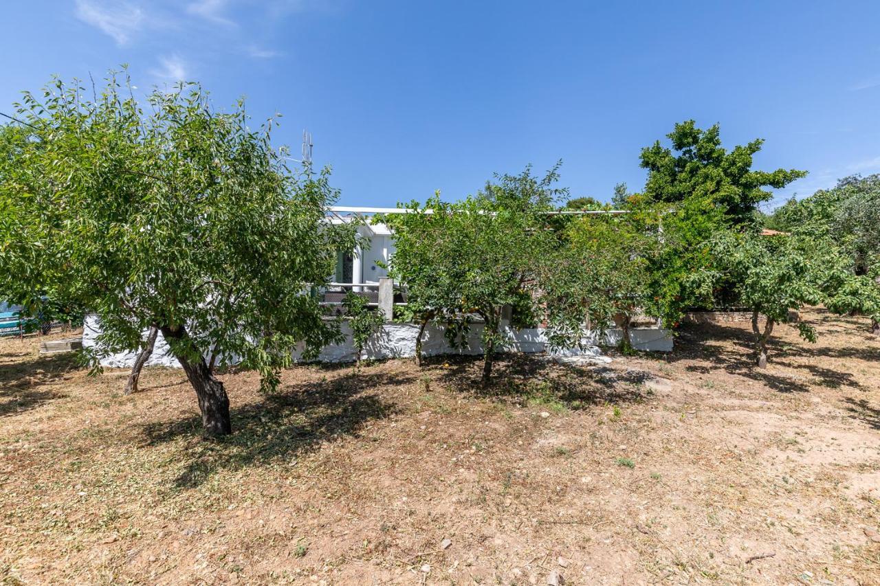 Skopelos Amigdalia Cottage Ngoại thất bức ảnh